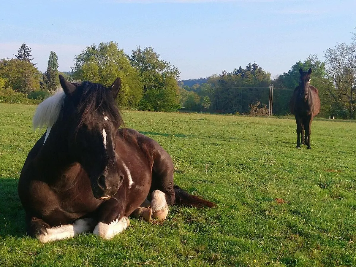 Clan Boucheron Louroux-Bourbonnais 0*,